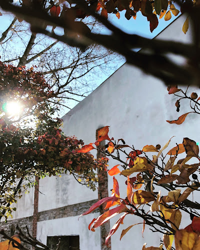 Comentarii opinii despre Pivovar TVARG