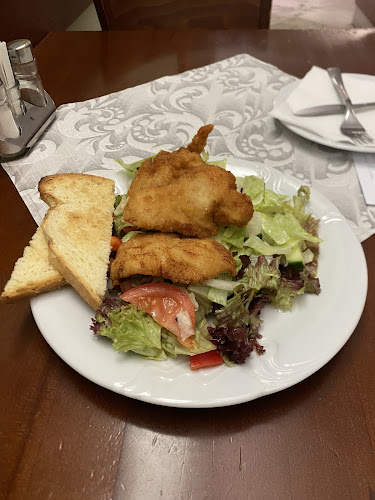 Pizzeria restaurace U Zeleného stromu - Gastronomie a pohostinství