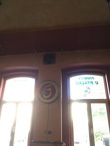 Comentarii opinii despre Pivnice U Ptáčků