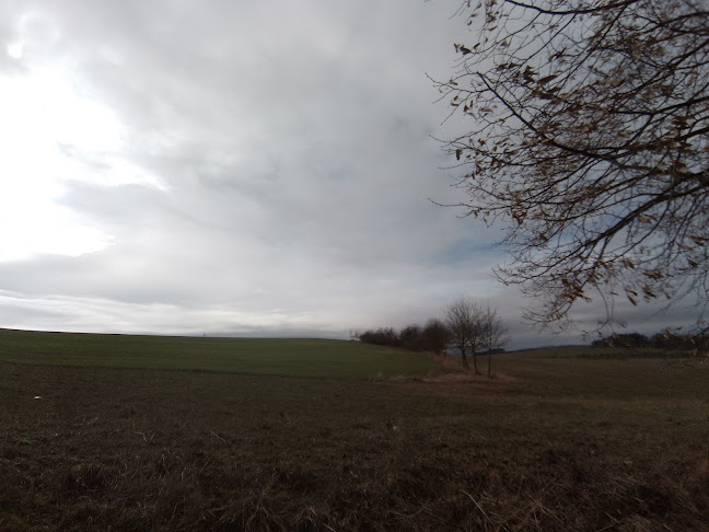 Opinii despre Hospoda Spáňov în Spáňov - Gastronomie a pohostinství