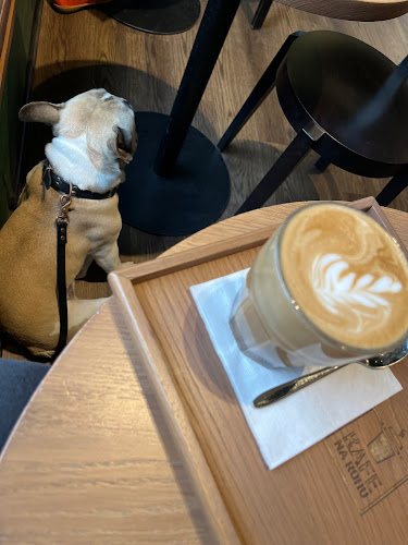 KAFE NA ROHU Olomouc - Olomouc