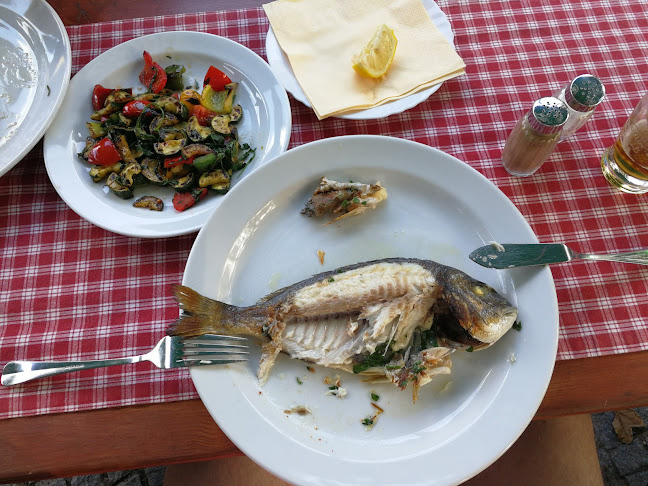 Restaurace Rybářská bašta - Brno