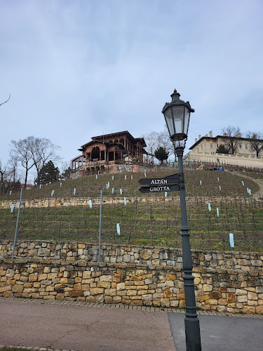 Opinii despre Viniční altán în Praha - Gastronomie a pohostinství