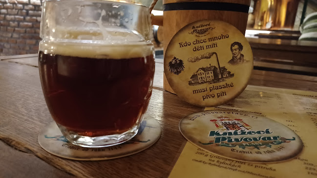 Knížecí pivovar Plasy - Gastronomie a pohostinství