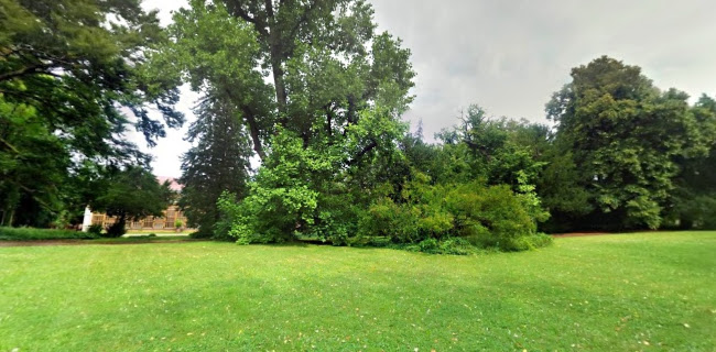 Opinii despre Restaurace Praha Opočno în Opočno - Gastronomie a pohostinství