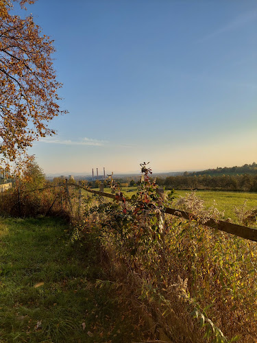 Comentarii opinii despre Hospůdka Na hřišti