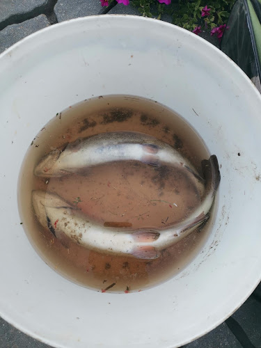 Rudoltice 137, 788 16 Sobotín-Petrov nad Desnou