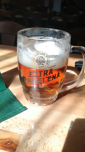 Comentarii opinii despre Restaurace U Řezníka