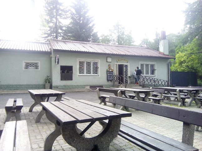 U Koupaliště 1090, 357 35 Chodov u Karlových Var 1