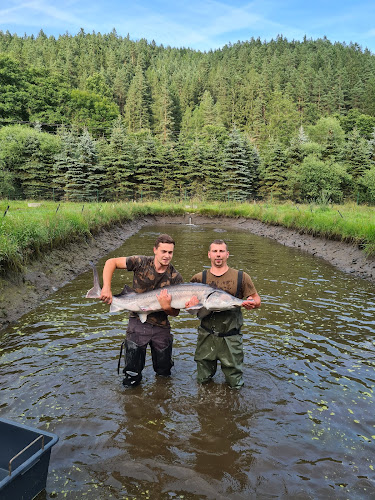 Poutnov 45 Provozovna Ryby Vlček Doručovací adresa - Klášterní 368, Teplá 364 61 364 61, Poutnov, 45