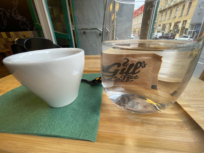 Veveří 456/9, 602 00 Brno-střed-Veveří