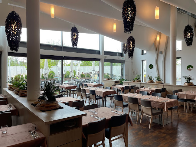 Restaurace Hnízdo - Gastronomie a pohostinství