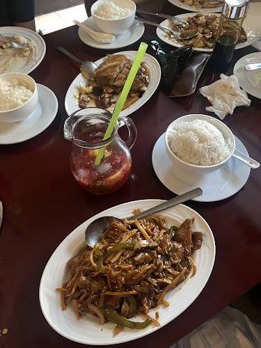 Jugoslávských partyzánů 1603, 160 00 Praha 6-Dejvice