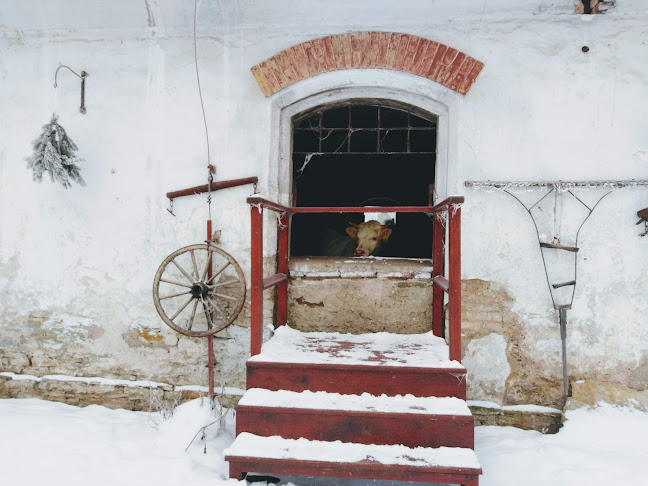 Marcela Petrová - Pohoří