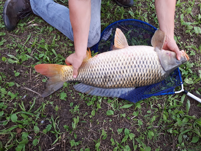 Comentarii opinii despre Prodej Ryb