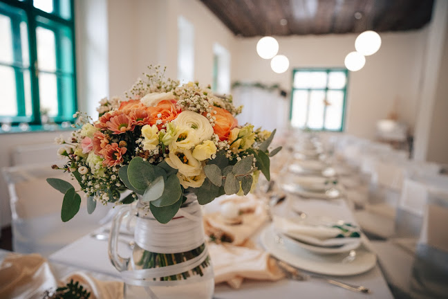 Rakovecká 152/83, 635 00 Brno-Bystrc