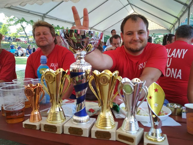 Ke Hřišti 253, 278 01 Dolany-Kralupy nad Vltavou 1