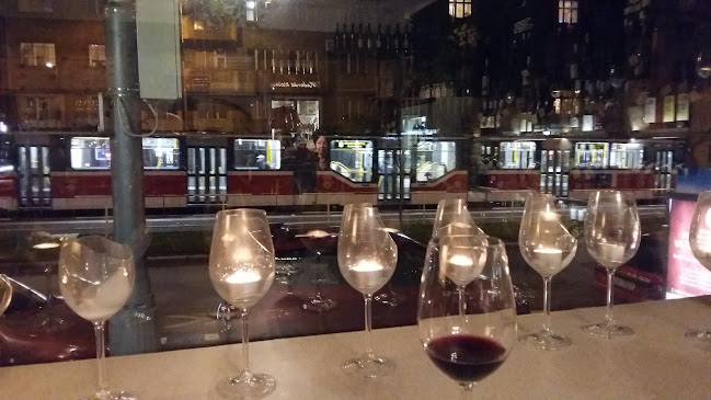 Opinii despre U Zeleného mnicha - Vinárna - sýrárna în Praha - Gastronomie a pohostinství