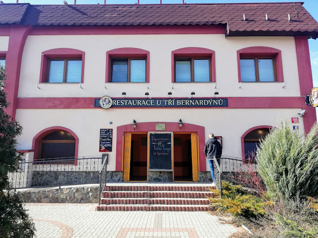 Opinii despre U TŘÍ BERNARDÝNŮ în Praha - Gastronomie a pohostinství