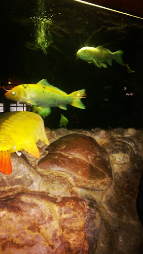 Lípa 259, 763 11 Lípa