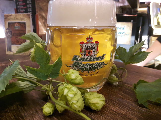 Knížecí pivovar Plasy