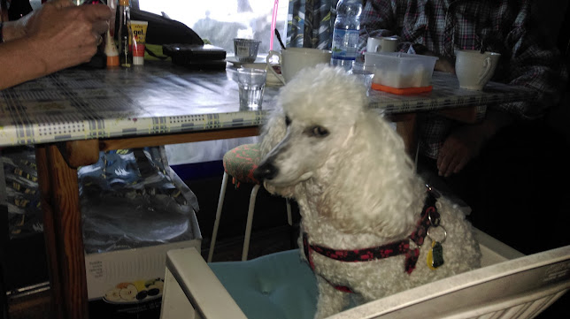 Comentarii opinii despre Bistro Cafe DAJA