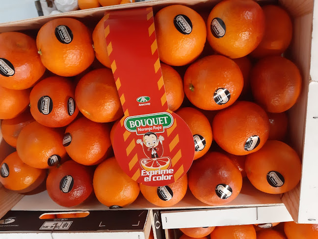 Comentarii opinii despre Mossfruit