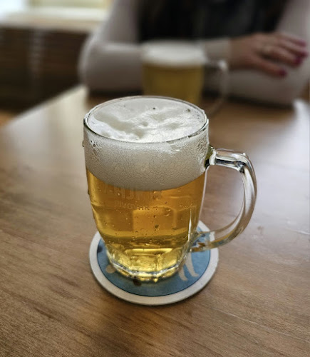 Opinii despre Lajka pivovar - café în Praha - Gastronomie a pohostinství