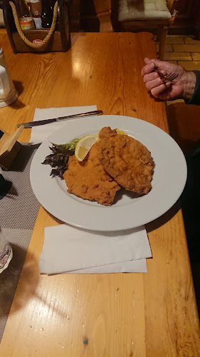 Comentarii opinii despre Rodinná Restaurace Pod Lípami