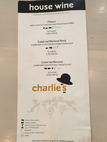 U Dálnice 777, 664 42 Modřice