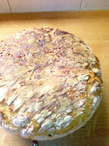 Opinii despre Přístav în Krásno nad Bečvou - Gastronomie a pohostinství