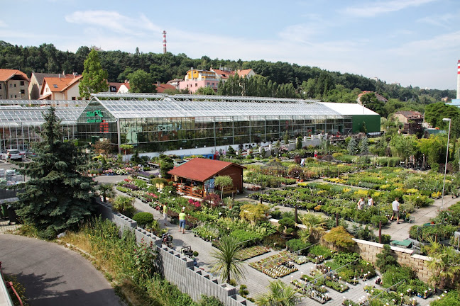 Opinii despre Restaurace Chládek în Praha - Gastronomie a pohostinství