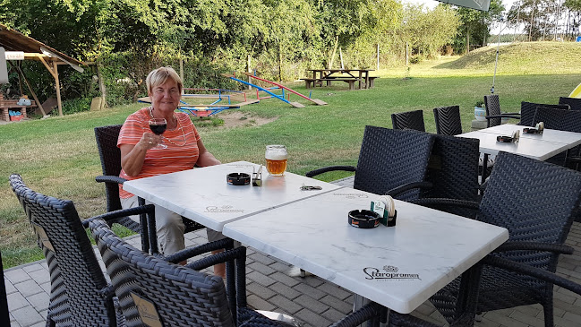 Opinii despre Hostinec U Pepíčka în Plzeň - Gastronomie a pohostinství