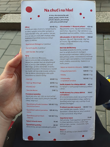 Kotlářská 26, 602 00 Brno-střed-Veveří