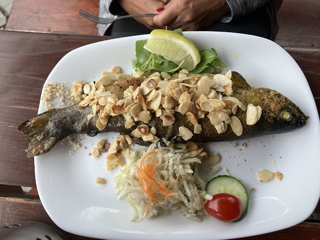 Opinii despre Rybářská bašta - Rudoltice în Olomouc - Gastronomie a pohostinství