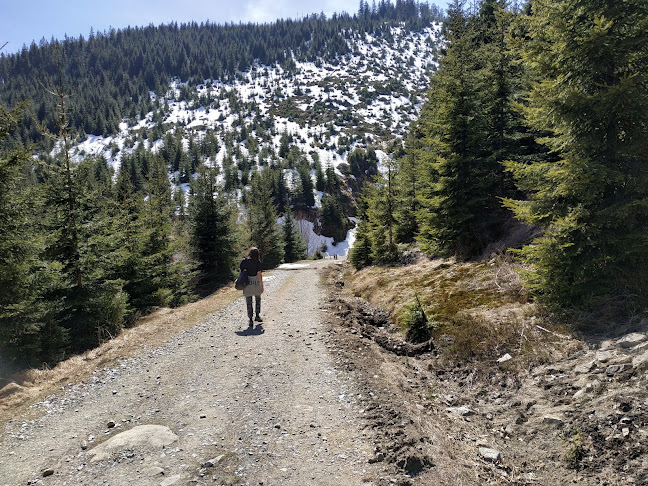 Restaurace pod Javorem + bowling - Gastronomie a pohostinství