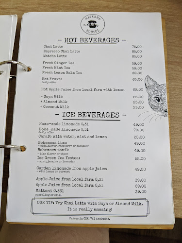 Kavárna Kočičí Praha - Staré Město