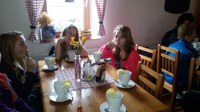 Comentarii opinii despre Selský Dvůr u Antoníčka