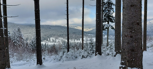Horská chata Doroťanka - Gastronomie a pohostinství
