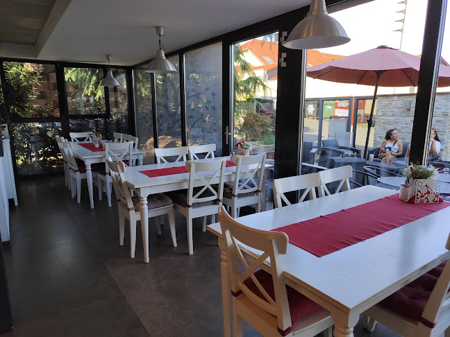 Novosady 24, 664 48 Moravany u Brna