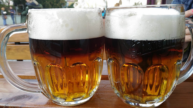 Pivnice U Švejků - Gastronomie a pohostinství