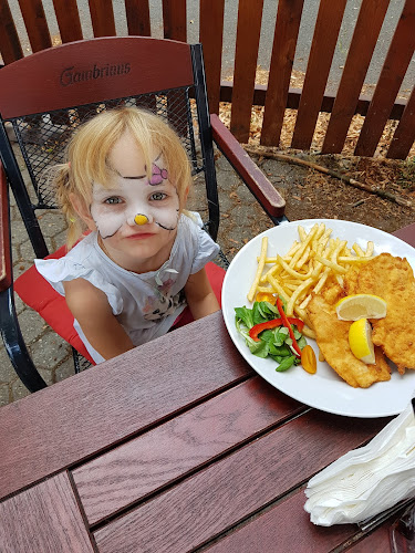 Comentarii opinii despre Restaurace U ŽÁBY