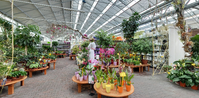 Comentarii opinii despre Café Dvořák a syn