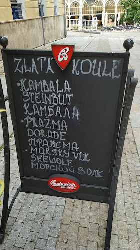 Comentarii opinii despre Restaurace U Zlaté koule