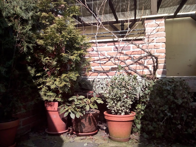 Restaurace Budvarka - Gastronomie a pohostinství