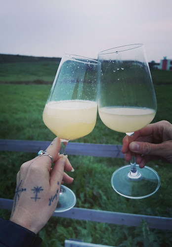 Comentarii opinii despre Vingl vinný bar