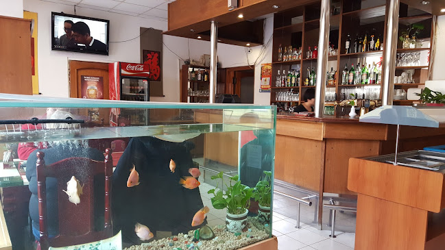 Čínská restaurace Jia Jia Le - Gastronomie a pohostinství