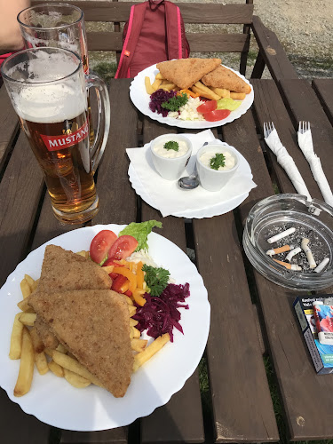 Dolní Loučky 142, 594 55 Dolní Loučky