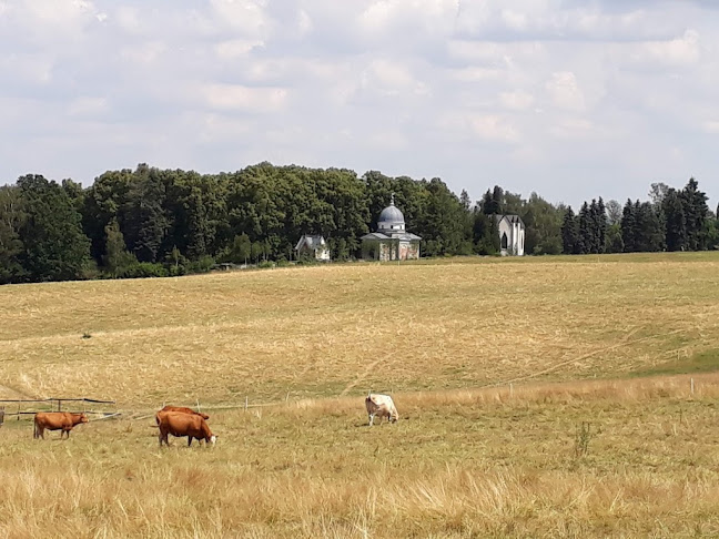 Opinii despre Čajovna a kavárna "Na kopečku" în Rumburk 1 - Gastronomie a pohostinství