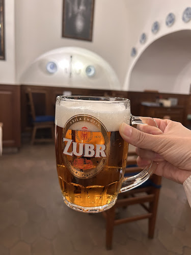 Comentarii opinii despre Restaurace U Labutí